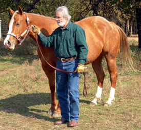 Duane Sullivan and Eyes Honey Blond